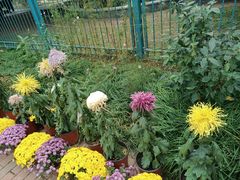 -国家植物园南园