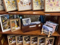-知物癖(牛王庙店)