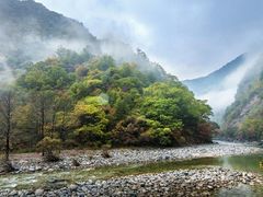 -黑河国家森林公园