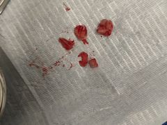 -上海市徐汇区口腔医院