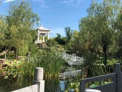 -武清南湖绿博园