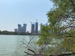 -华侨城湿地公园