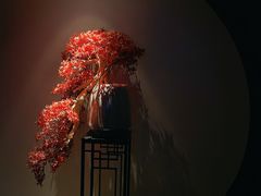 -江南足纪·影院足道·轻奢SPA(笋岗HALO广场店)