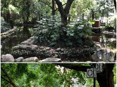 -成都市活水公园