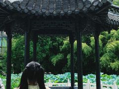 -孙家面馆(淮海第一城店)