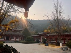 -徐州汉画像石艺术馆