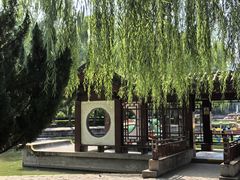 -团结湖公园