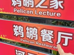 -广州长隆飞鸟乐园