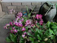 -古都梅按摩足浴(世界广场店)