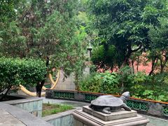 -广州神农草堂中医药博物馆