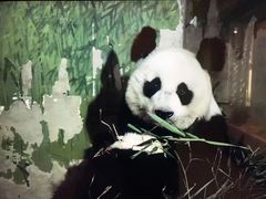 -北京动物园-畅观楼