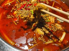 -宽口美蛙鱼头(大唐西市店)