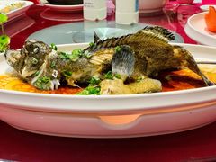 清蒸龙趸-金满楼(天河中路店)