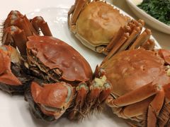 清蒸大闸蟹-王宝和酒家(黄浦店)