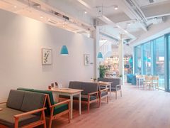 -猫的天空之城概念书店(北戴河蔚蓝海岸店)