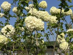 -茅草房·河畔园林火锅