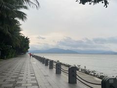 -深圳湾公园(南山区)