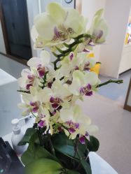 点击看大图 -杭州海亮医院 · 禾芸嘉医美中心