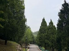 -白水寺森林公园