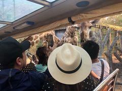 -清迈夜间动物园