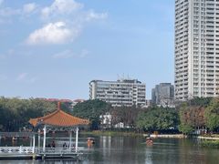 -荔湾湖公园