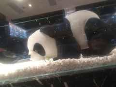 -红辣椒·川菜·火锅(大洋中心店)