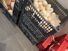 -单家老院·院子里的青岛菜(沙子口店)