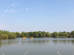 -长兴太湖图影湿地文化园