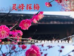 -杭州植物园