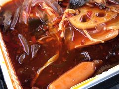 -合肥滨湖国家森林公园