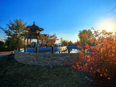 -白水寺森林公园