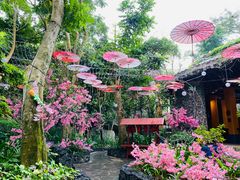 -海口观澜湖火山温泉谷