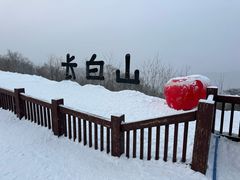 -长白山万达国际滑雪场