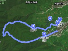 -龙坞茶村