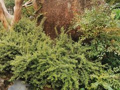 -湖南别院·美学庭院餐厅(惠阳店)