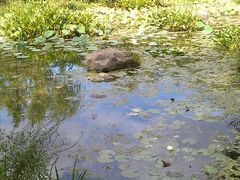 -新江湾城公园