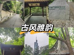 -北极阁公园