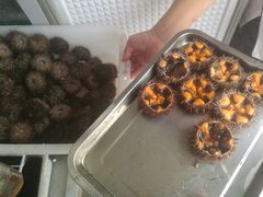 马粪海胆-海胆小馆(东北水饺·春柳店)