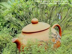 -广州市白云山风景名胜区