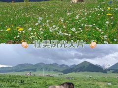 -新疆那拉提国家旅游度假区