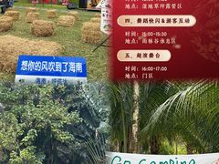 -呀诺达热带雨林
