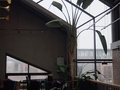 -泓0871臻选云南菜·味庄