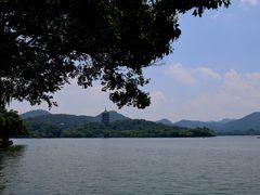 -杭州西湖柳莺里酒店·闻莺厅