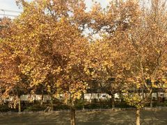 -陈熹公民族美食文化餐厅(中华广场店)