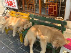 -八木轩·寻味大理白族民俗餐厅(文献路店)