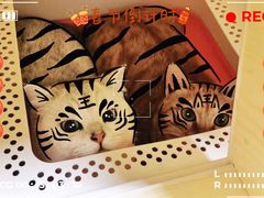 -宠物之家Pets Home 宠物寄养酒店