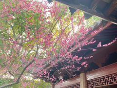 -天一阁博物院