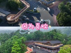 -碧峰峡风景区