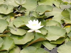 -怀来官厅水库