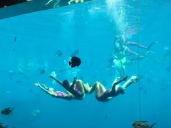 -瑞德姆美人鱼海底演艺主题餐厅(亚龙湾店)